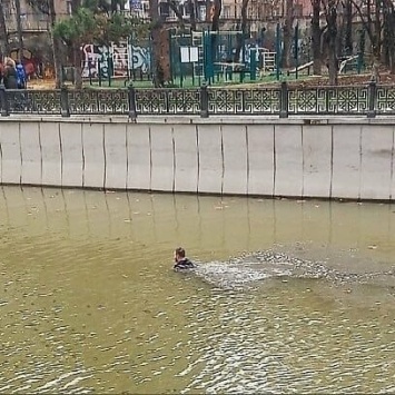 "Там вода не по графику": в центре Симферополя мужчина плавал в Салгире, - ФОТОФАКТ