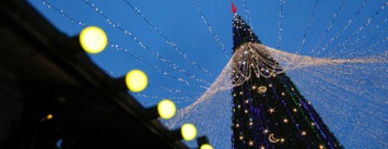 В Белгороде на параде Дедов Морозов зажгли главную елку области. Фоторепортаж