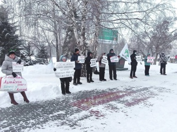 «Мы не от безделья маемся»: барнаульцы обсуждают очередной пикет против дистанта в разгар жутких морозов