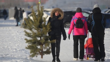 Как пережили аномальные холода города Алтайского края