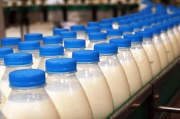 Новое предприятие по производству молока может появиться в Белогорске