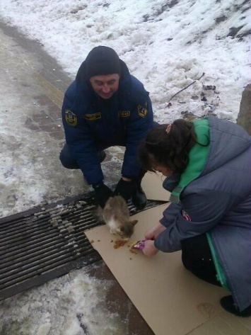 Под Белгородом спасатели достали застрявшую в сточной трубе кошку