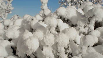 Зимние рекорды: в Змеиногорске прошли наиболее сильные снегопады