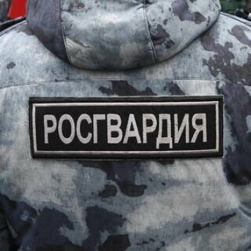 В Ульяновской области магазин попытались ограбить подростки