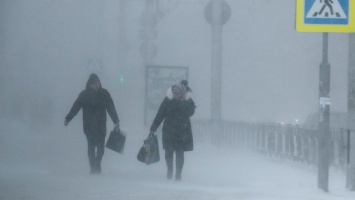МЧС предупредило об усилении ветра и снегопаде в Алтайском крае