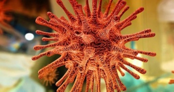 Российский биолог нашел способ остановить появление опасных мутаций коронавируса