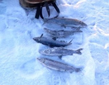 Рыбаки открыли зимний сезон на Онежском озере. Узнали, какой лед