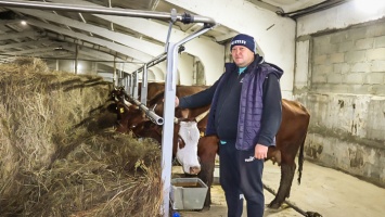 Семейная ферма. История преуспевающих животноводов из Алтайского края