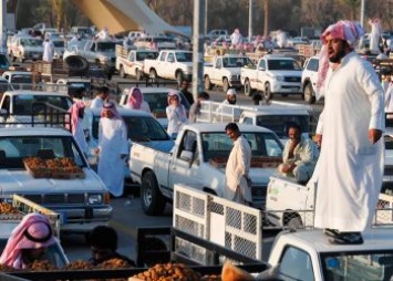 В Саудовской Аравии построят город-миллионник без машин