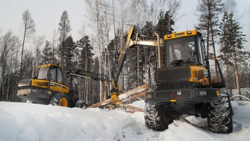 В лесоперерабатывающей отрасли Алтайского края произошли громкие изменения