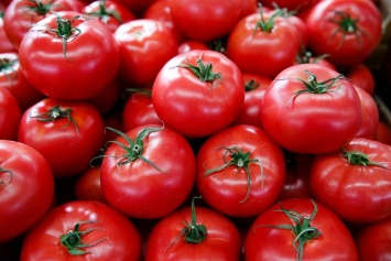 Казахстан призвал РФ отменить ограничения на ввоз томатов, пообещав ответные меры
