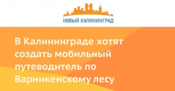 В Калининграде хотят создать мобильный путеводитель по Варникенскому лесу