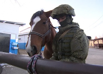 Курсанты ДВОКУ начали осваивать кавалерийскую подготовку