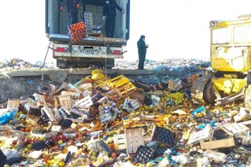 Таможенники уничтожили на полигоне более 20 тонн овощей, фруктов и орехов (фото)