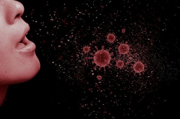 Невролог из России рассказал о способе вернуть ощущение запаха после коронавируса