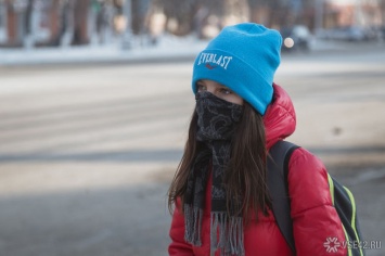 Кузбасские школы частично перешли на дистанционку из-за морозов