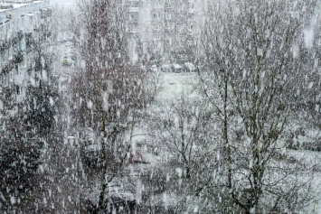 Гидрометцентр пообещал мартовскую погоду в январе на Европейской части России